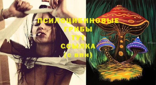 MDMA Медногорск