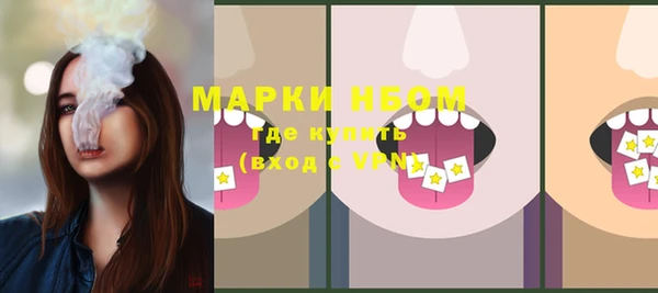 стафф Михайлов