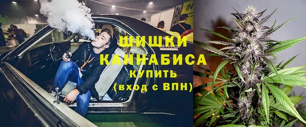 ГАЛЛЮЦИНОГЕННЫЕ ГРИБЫ Михайловка