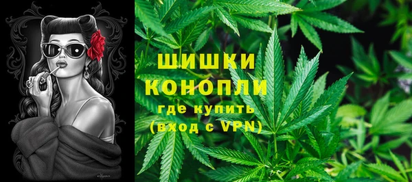 стафф Михайлов