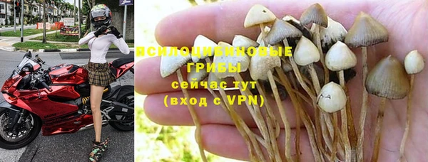 прущая мука Медвежьегорск
