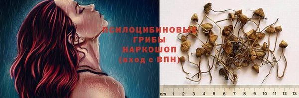прущая мука Медвежьегорск