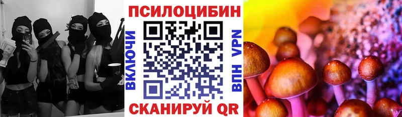 Галлюциногенные грибы мухоморы  где продают наркотики  Яхрома 